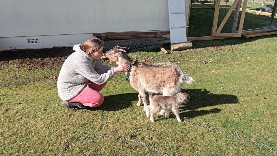 Kim greeting the goats and kid at Sanctuary Farm