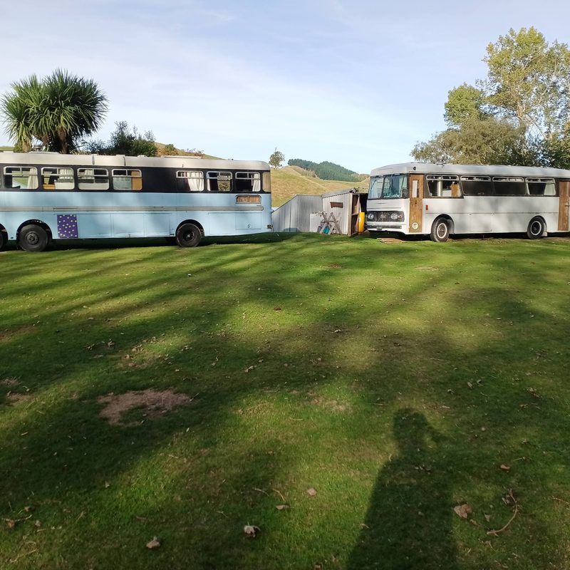 Vintage buses at Sanctuary Farm