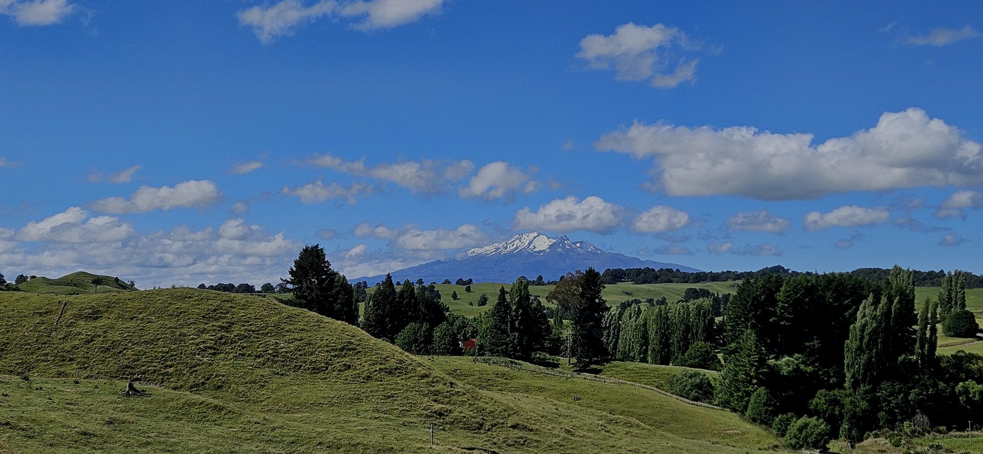 Mt Ruapehu rising over the rolling Whanganui hill country