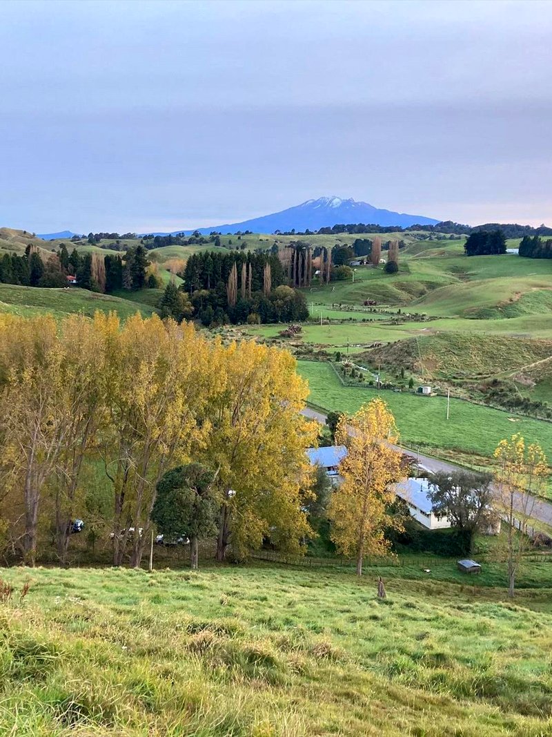 Panoramic view of the Whangaehu Valley from the Sanctuary Farm hillside, with Mt Ruapehu in the distance